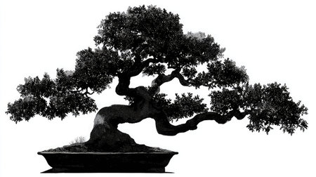 Symmetrical bonsai tree silhouette digitally illustrated on white backgroundの素材