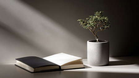 Notebook and small bonsai tree on a clean desk, with dramatic side lighting highlighting texture and calmの素材