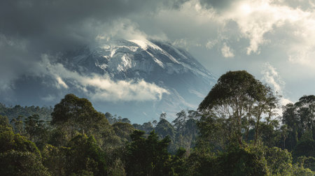 Snow-covered volcano peak surrounded by clouds above a dense forestの素材