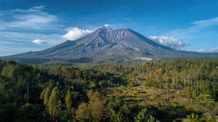 A dormant volcano surrounded by dense green forest under a clear blue skyの素材