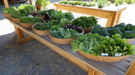 A rustic wooden table with freshly harvested organic vegetables arranged in baskets.の素材