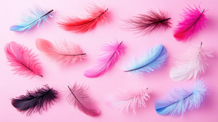 A stunning display of colorful feathers arranged delicately on a pink background, perfect for creative projects, fashion themes, or as vibrant home decor inspiration.の素材