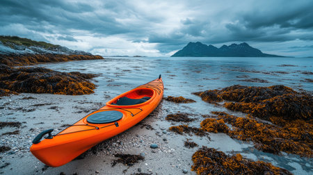 A vibrant orange kayak rests on a rocky shoreline, surrounded by lush seaweed, under a dramatic cloudy sky with remote mountains in the backdrop. Perfect for adventure enthusiasts.の素材