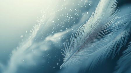 This image features a soft feather set against a serene backdrop, capturing gentle light and creating a dreamy, tranquil atmosphere for relaxation and nature-themed projects.の素材