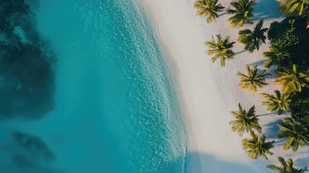 A stunning aerial view of a tropical beach showcasing clear blue water and palm trees gently lining the shore, evoking a sense of tranquility and paradise.の素材