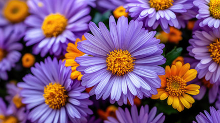 Beautiful close-up of vibrant purple and yellow flowers in bloom. This colorful garden scene captures the essence of nature's beauty and freshness.の素材