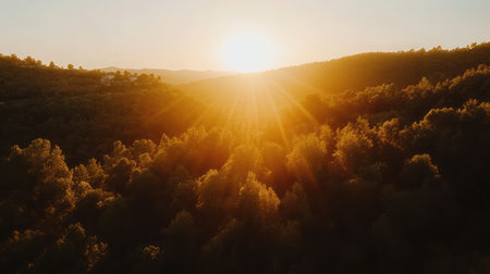 A breathtaking sunrise illuminating a lush landscape of vibrant trees and rolling hills, capturing the essence of natureの素材