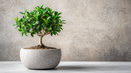 A vibrant bonsai tree elegantly displayed in a minimalist pot against a neutral concrete backdrop, creating an atmosphere of peace and natural beauty ideal for any indoor space.の素材