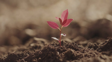A close-up view of a vibrant red leaf sprout rising through rich brown soil, capturing the essence of growth and renewal in a serene natural environment.の素材