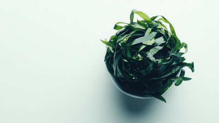 High contrast photo of dark seaweed sushi on a bright white backgroundの素材