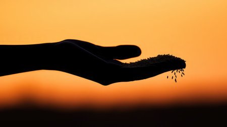 Silhouette hand holding rice against a deep orange sky with evening fog in the distanceの素材