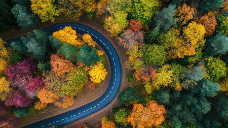 A drone shot of a beautifully marked marathon route winding through nature.の素材
