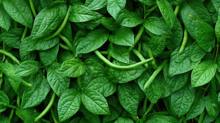 A close-up view of vibrant green leaves showcasing intricate textures and rich colors, perfect for nature-themed projects or as a soothing background.の素材