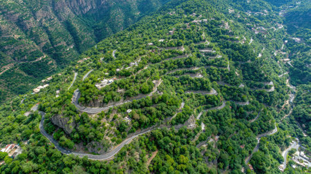 This stunning aerial view captures a serpentine mountain road winding through a vibrant green forest, showcasing the beauty of nature's landscape.の素材