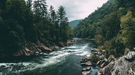 A tranquil river flows gracefully through dense greenery and rocky landscapes, surrounded by towering mountains under a moody sky, perfect for outdoor enthusiasts.の素材