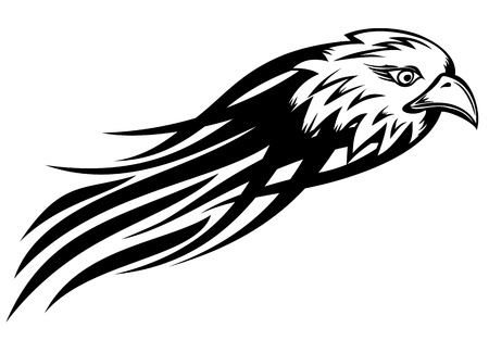 Vector illustration head eagle sketch tattooのイラスト素材