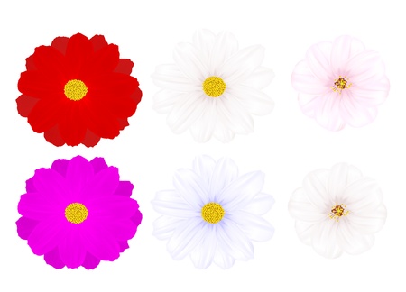 The image of various flowersのイラスト素材