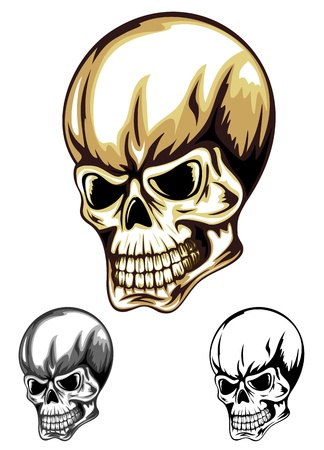 Vector illustration human skull setのイラスト素材
