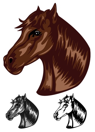 illustration head horse setのイラスト素材
