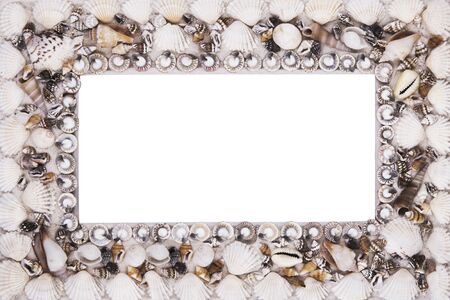 Seashells frame isolated on white backgroundの写真素材