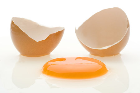 egg
