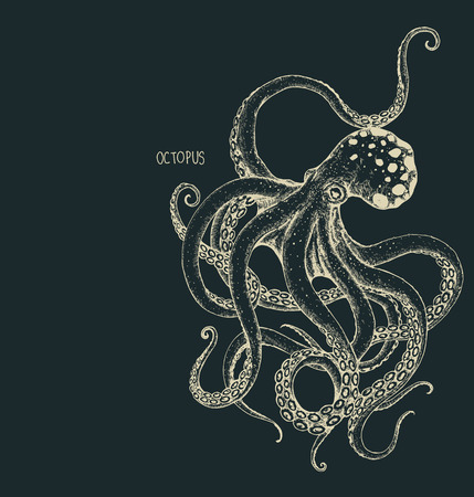 Octopus hand drawnのイラスト素材