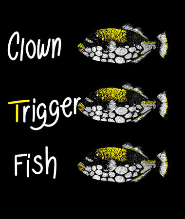 clown trigger fish on background