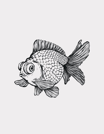 Hand drawn goldfish isolated on white background. sketch illustration.の写真素材