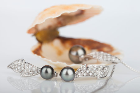 Shell with pearls, isolated on whiteの写真素材