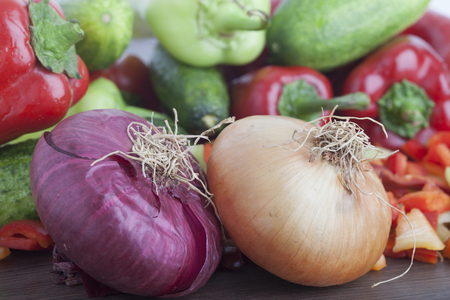 Composition with raw vegetablesの写真素材