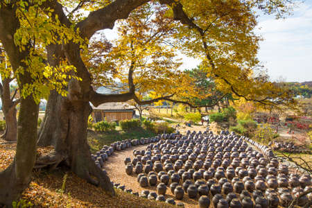 Jangdokdae and autumn leaves of Myeongje Old House in Nonsan, a cultural heritage of Korea.のeditorial素材