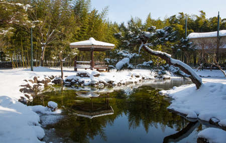 The bamboo field scenery of the Bamboo Museum in winter. The bamboo trail. The bamboo park, the bamboo festival, the snow road,のeditorial素材