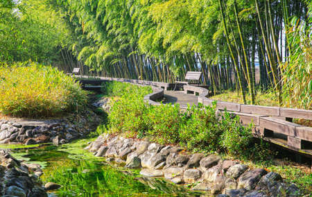 The scenery around the Bamboo Museum. The scenery of the green bamboo fields all year round.のeditorial素材