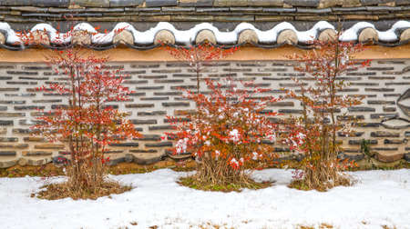 Winter scenery around Gochang Fortress, a cultural relic in Korea.のeditorial素材
