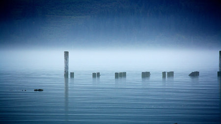 Distant pier posts in the mist.の写真素材