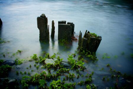 Old pier posts in milky waterの写真素材