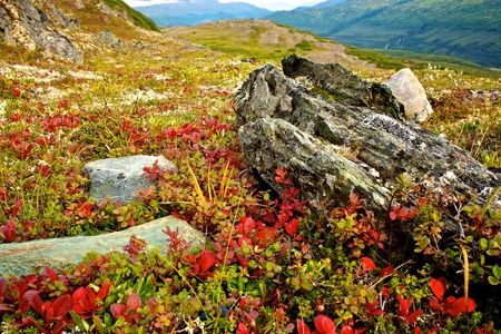 Fall colors Mnt.の写真素材