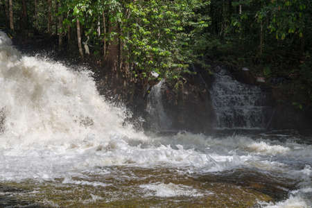 Waterfall in the Brazilian jungle.の写真素材