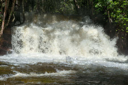 Waterfall in the Brazilian jungle.の写真素材