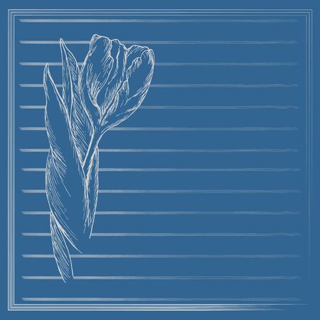 Graphic flower, sketch of tulip on blue background. Vector floral illustration in vintage style. Hand drawn artwork. Template for wedding invitation, card, congratulation, greeting. Place for text.のイラスト素材