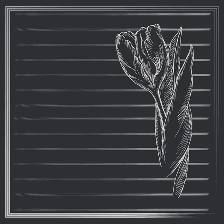Graphic flower, sketch of tulip on black background. Vector floral illustration in vintage style. Hand drawn artwork. Template for wedding invitation, card, congratulation, greeting. Place for text.のイラスト素材