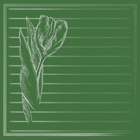 Graphic flower, sketch of tulip on green background. Vector floral illustration in vintage style. Hand drawn artwork. Template for wedding invitation, card, congratulation, greeting. Place for text.のイラスト素材