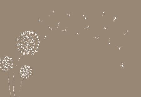Dandelion with seeds blowing away on beige background. Summer plant. White silhouette of flower. Floral Vector Illustrationのイラスト素材