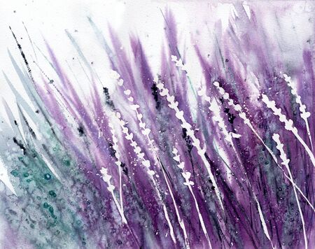 Lavender flowers field. Watercolor painting. Hand-drawn art.の写真素材