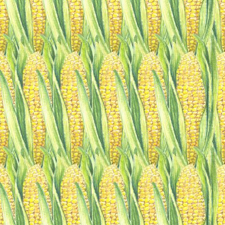 Seamless Pattern of corn cobs with leaves. Eco Background with vegetables plants. Shop design, healthy lifestyle, packaging, textile. Hand drawn watercolor illustration. Botanical realistic artの写真素材
