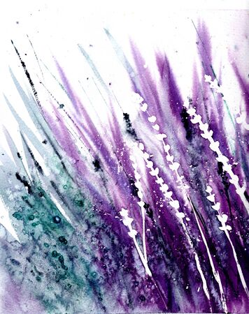 Watercolor painting of Lavender flowers fieldの写真素材