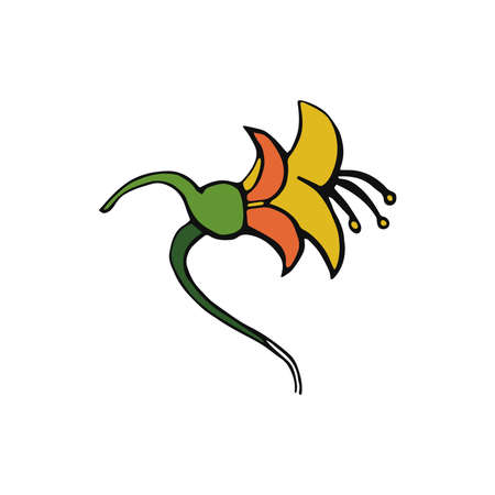 Doodle Tropical flower isolated on White background. Hand drawn Vector illustration. Floral Design elementのイラスト素材