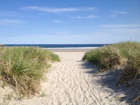 Pathway to the Beachの写真素材