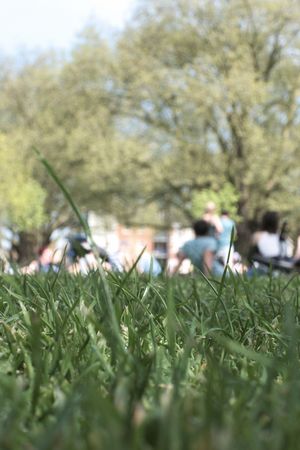 in the park on a summers dayの写真素材
