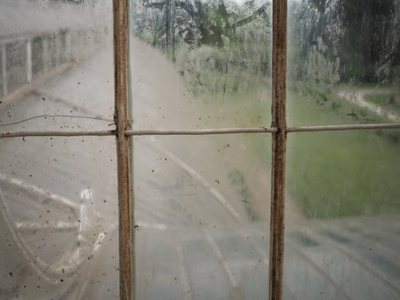 Vintage greenhouse,detail of dirty glass and metal window panesの写真素材